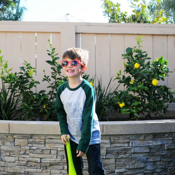 Roshambo Eyewear Mcfly / Mor Lens / W
