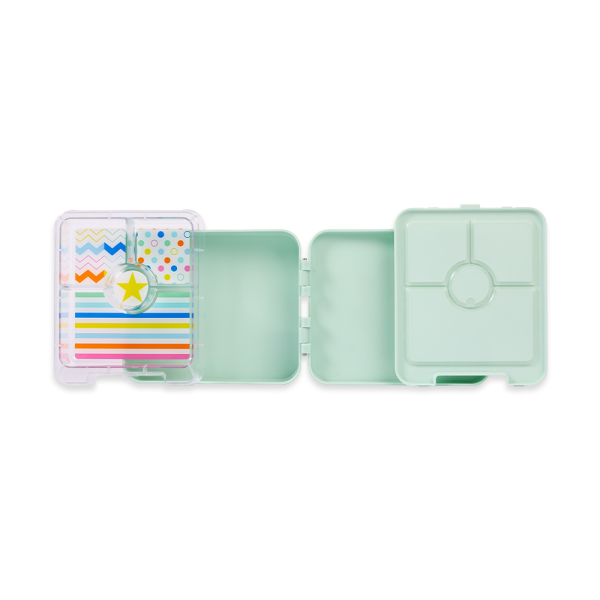 PENNY SCALLAN Bento Box 4 Bölmeli Beslenme Kutusu /Kipping Koala